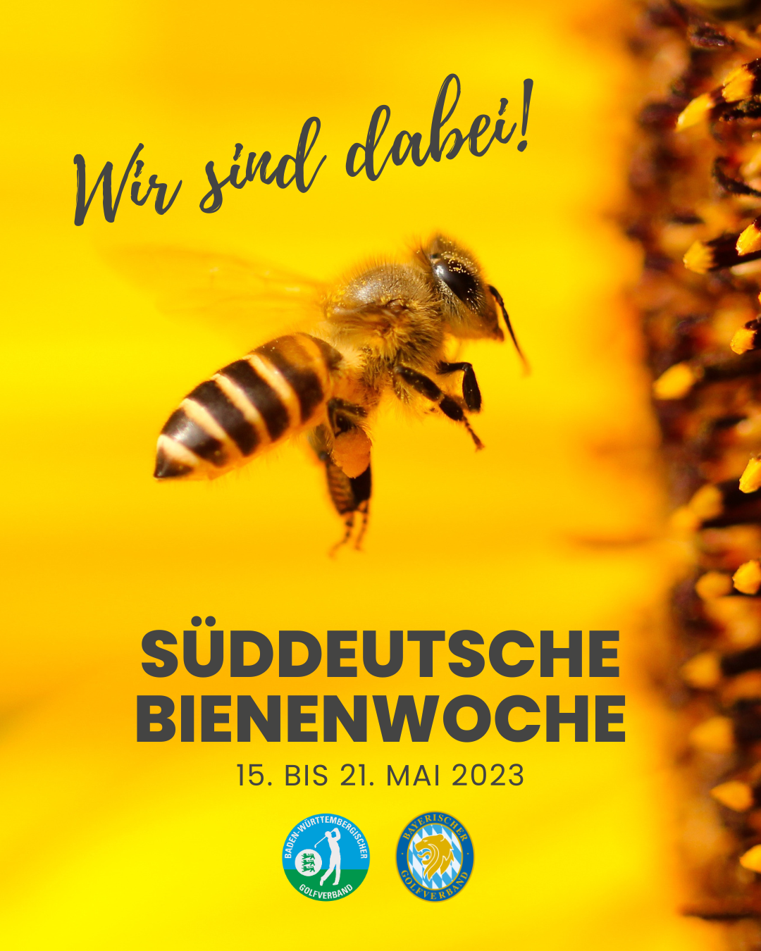 SÜDDEUTSCHE BIENENWEOCHE: GOLFEN ZUM SCHUTZ DER BIENEN!